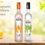 Magic Moments Vodka Price in Haryana